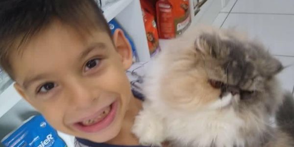 alt="resiliência infantil transplante de rim"